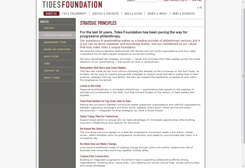 The Strategic Principles of the Tides Foundation