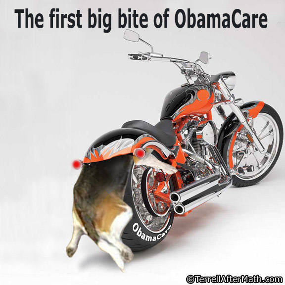 Obamacare Dog First Big Bite SC